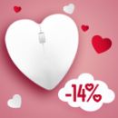 Valentine's day at Vikiwat - 14% discount of all products online
