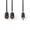 Cable stereo plug 3.5 stereo/M, 2xRCA - 2