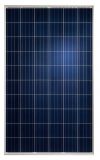 Solar panel  SS660P-250, 250W, 8.75A, 37.8V, 1663x995mm