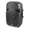 Professional Speaker Passive 2 way PZ-15 180W 8 Ohm 15" - 2