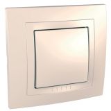 Light switch 1pole single, 10A, 250VAC, for built-in, ivory, MGU10.201.25D
