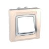 Light switch 1pole single, 32A, 250VAC, for built-in, ivory, MGU3.231.25