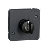 Light switch one-way dual, 3A, 230VAC, for built-in, gray, MUR35061