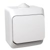Light switch one-way single, 16A, 250VAC, surface, white, WDE000510
