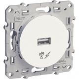 Single socket , 1A, 230VAC, white, for built-in, USB 2.0, S520408