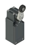 Limit switch FM 531, SPDT-NO+NC, 6A/250VAC, lever and roller