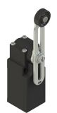 Limit switch FR 1555, DPST-2xNO, 6A/250VAC, lever and roller