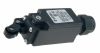 Краен изключвател FR 502-K25, SPDT-NO+NC, 6A/250VAC, рамо и ролка
