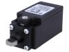Limit switch FR515-R28, SPDT-NO+NC, 6A/250VAC, roller