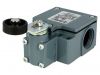 Limit switch FZ 554, SPDT-NO+NC, 6A/250VAC, lever and roller