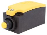 Limit switch LS-11S, SPDT-NO+NC, 6A/240VAC, with spring return, roller