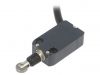 Limit switch NA B110BE-DN2, SPDT-NO+NC, 4A/250VAC, roller