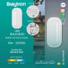 BC18-00380, BRAYTRON - 2