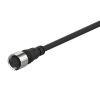 Sensor cable CID5-2, M12, 5 pins, 2m