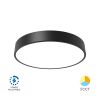 LED ceiling light BH16-04381, 36W, 230VAC, 3800lm, black - 1