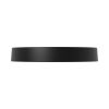 LED ceiling light BH16-04381, 36W, 230VAC, 3800lm, black - 2