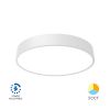 LED плафон, BLADE-CR, BH16-04380, 36W,220VAC, 3800lm, 3в1 цвята