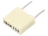Capacitor,  polyester, ±10%, 250VDC / 160VAC, 10nF, THT, R82IC2100AA50K