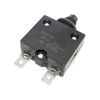 Circuit breaker 20A, 250VAC, ST-2P - 1