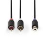 Audio cable CABW24020AT02 - 2