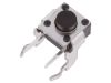 Micro Push Button, with soldering pins, model 1301.9501
