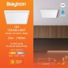 BP07-10281, BRAYTRON - 2
