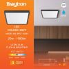 BP07-10281, BRAYTRON - 2