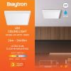 BP07-10380, BRAYTRON - 2