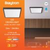 BP07-10381, BRAYTRON - 2