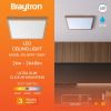 BP07-10387, BRAYTRON - 2