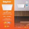 BP07-10480, BRAYTRON - 2