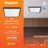 BP07-10481, BRAYTRON - 2