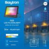 BT66-05091, BRAYTRON - 2