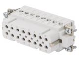 Connector HDC, plug, C146 10B016 002 4