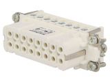 Connector HDC, plug, C146 10B016 102 4