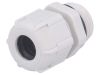 Cable Gland, PG11/PG, IP68, BM GROUP