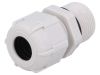 Cable Gland, PG13,5/PG, IP68, BM GROUP