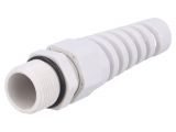 Cable Gland, PG13,5/PG, IP68, BM GROUP