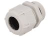Cable Gland, PG21/PG, IP68, BM GROUP