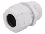 Cable Gland, PG21/PG, IP68, BM GROUP 148665