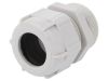 Cable Gland, PG29/PG, IP68, BM GROUP