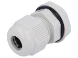 Cable Gland, PG9/PG, IP68, KSS WIRING 148712