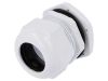 Cable Gland, PG36/PG, IP67, PAWBOL