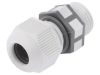 Cable Gland, PG9/PG, IP68, TECHNO