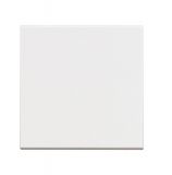 Push-button, 10A, 250VAC, color white, built-in, RW4005M2
