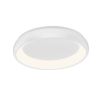 LED ceiling lamp BELLA, 36W, 230VAC, 4260lm, 3in1 colors, IP20, ф480x83mm, BH17-02380, circle
 - 1
