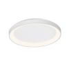 LED ceiling lamp BELLA, 36W, 230VAC, 4260lm, 3in1 colors, IP20, ф480x58mm, BH17-00280, circle
 - 1