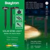 BG36-00681, BRAYTRON - 2