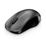 Wireless optical mouse RAPOO 1620, 2.4GHz, black