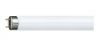 Fluorescent tube 15W, 450mm, 220VAC, T8, G13, 930lm, 6500K, cool white, Philips

